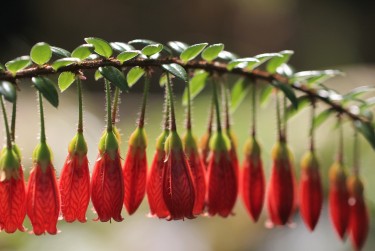 广州荔湾区7私人快速借钱网，轻松解决资金难题