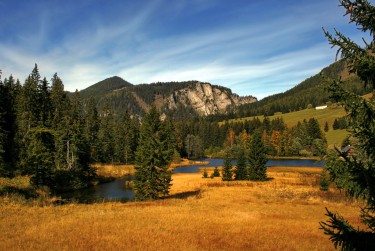 广州荔湾区7民间私贷攻略：揭秘低成本借贷的秘密