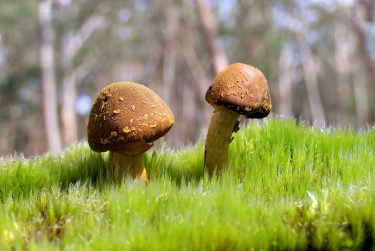 广州荔湾区7私人老板放款：轻松融资的秘密通道